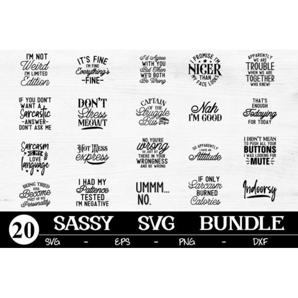 Sassy-Bundle-SVG-Sarcastic-Cut-File-Graphics-68361835-1-1-580x386.jpg