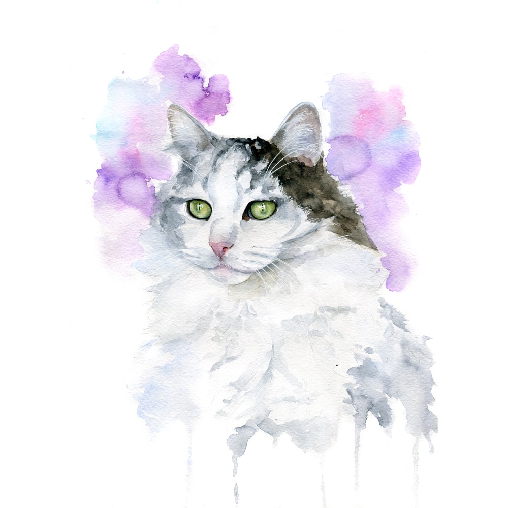 Безрыыывро имени-1.jpg