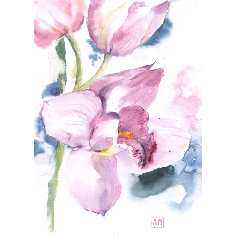 Orchid flower.DPW1.jpg