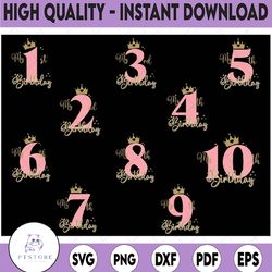 birthday bundle svg, 1st to 10th birthday svg, birthday svg, eighth birthday cricut cut files, my 8th birthday svg,