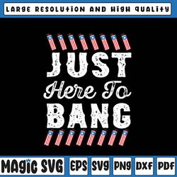 funny i'm just here to bang 4th july american flag fireworks svg, director i run you fireworks svg, independence day png