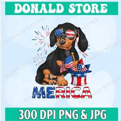 patriotic dachshund png, happy 4th of july png, firework png, digital file, png high quality, sublimation, instant