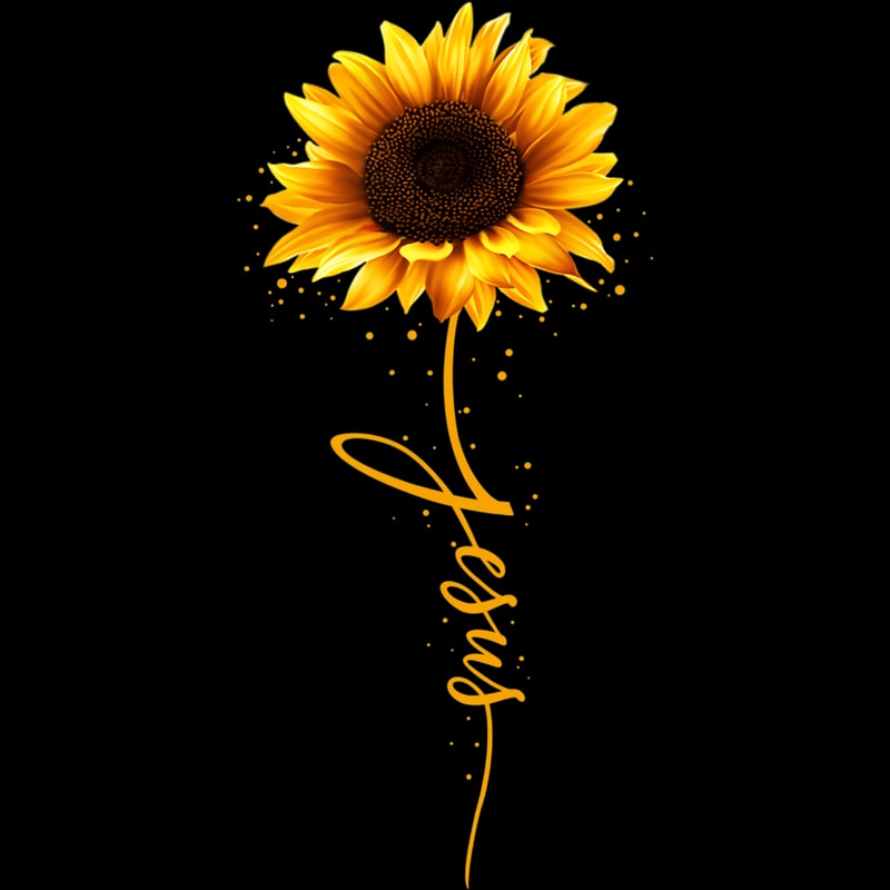 Sunflower (88).jpg