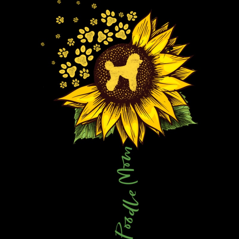 Sunflower (117).jpg