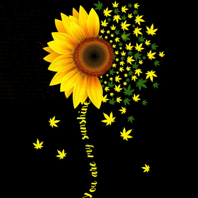 Sunflower (135).jpg
