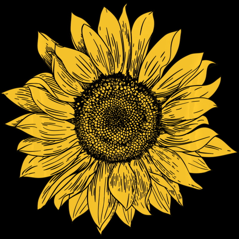 Sunflower (140).jpg