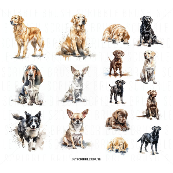 Any Dog breed watercolor clipart.png