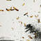 Old man and Dog _40x60_+margins 5 mm_2.jpg
