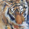Portrait of tigers._Fragment.1.jpg