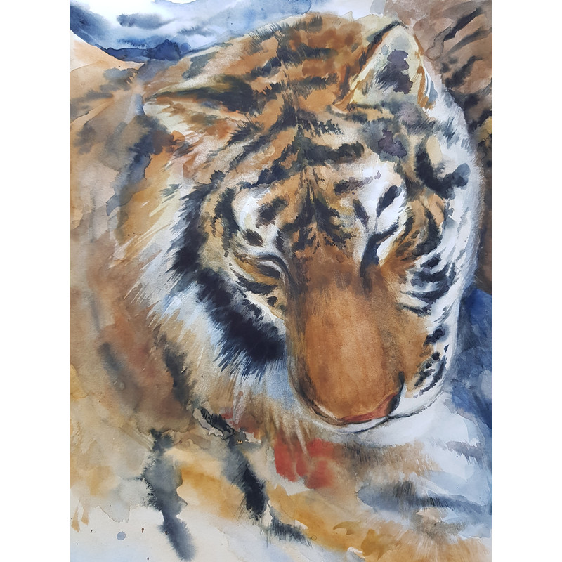 Portrait of tigers._Fragment.1.jpg