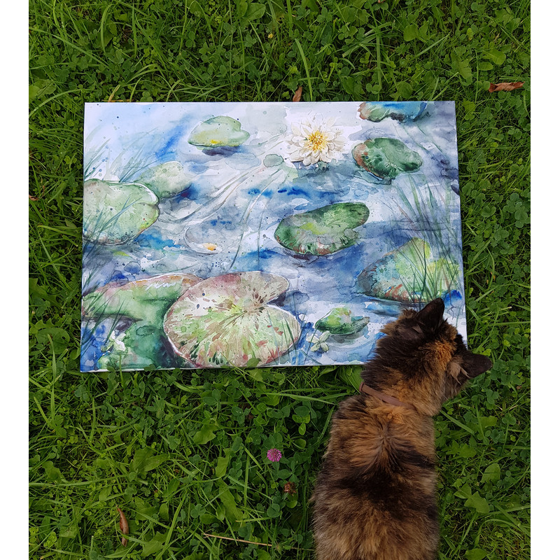 A pond with water lilies._Fragment.5.jpg