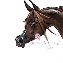 Horse ART commission HEADSHOT LINEART Realistic original painting custom equine portrait pet illustration MariePHorses