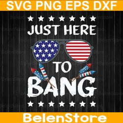 i'm just here to bang svg, funny 4th of july svg, independence day svg, cricut, svg files, cut file, dxf, png, svg