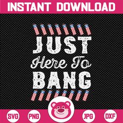 funny i'm just here to bang 4th july american flag fireworks svg, director i run you fireworks svg, independence day png