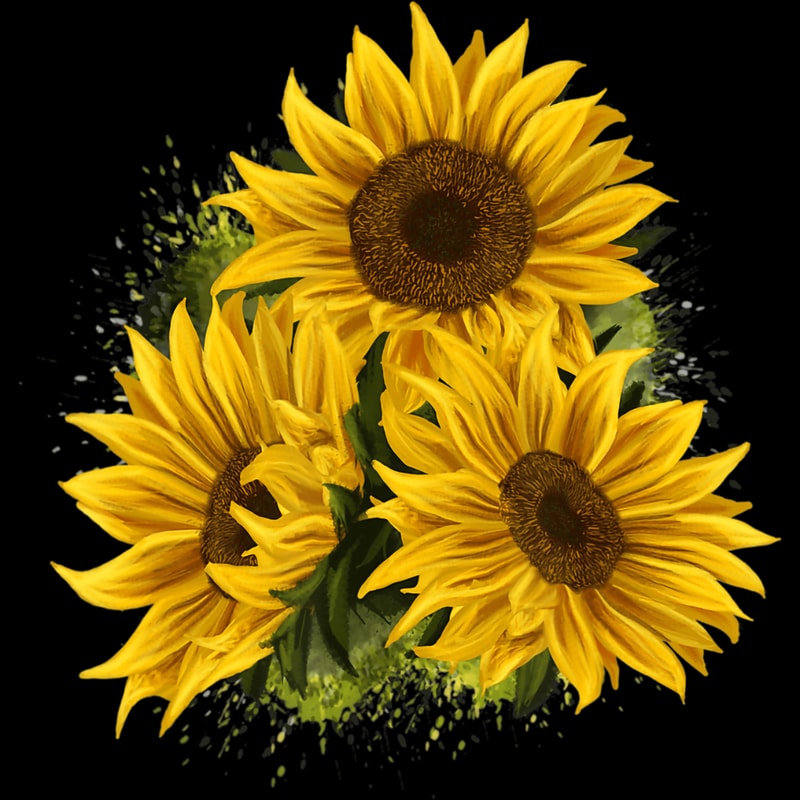 Sunflower (185).jpg
