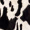 Cow Hide 43.jpg