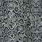 Grayscale Snakeskin.jpg