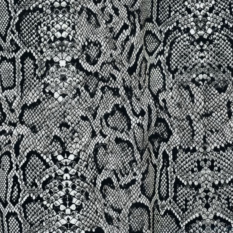 Grayscale Snakeskin.jpg