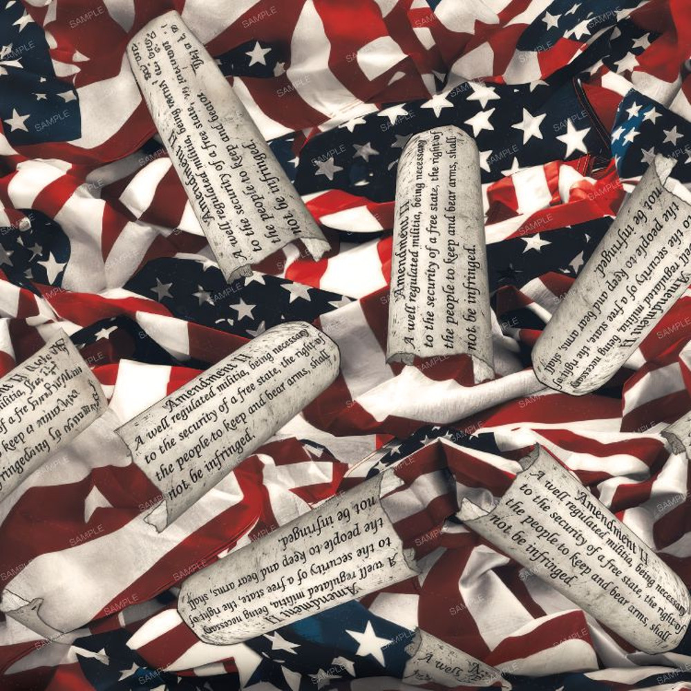 US Flags Constitution 22.jpg