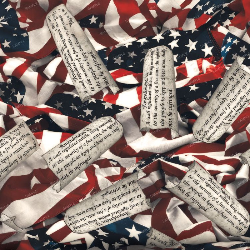 US Flags Constitution 22.jpg