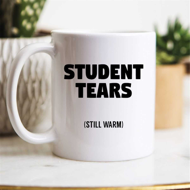 MR-47202321425-student-tears-mug-teacher-gifts-teacher-mugs-student-mugs-image-1.jpg