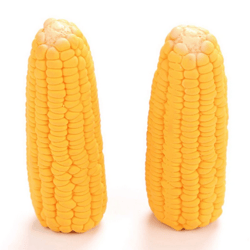 Dog Toy Corn Shape Toys for Dogs Training Bite Resistant Dog Toys with Bell Cute Corn Dogs Toy for Chewing Grinding Pet
