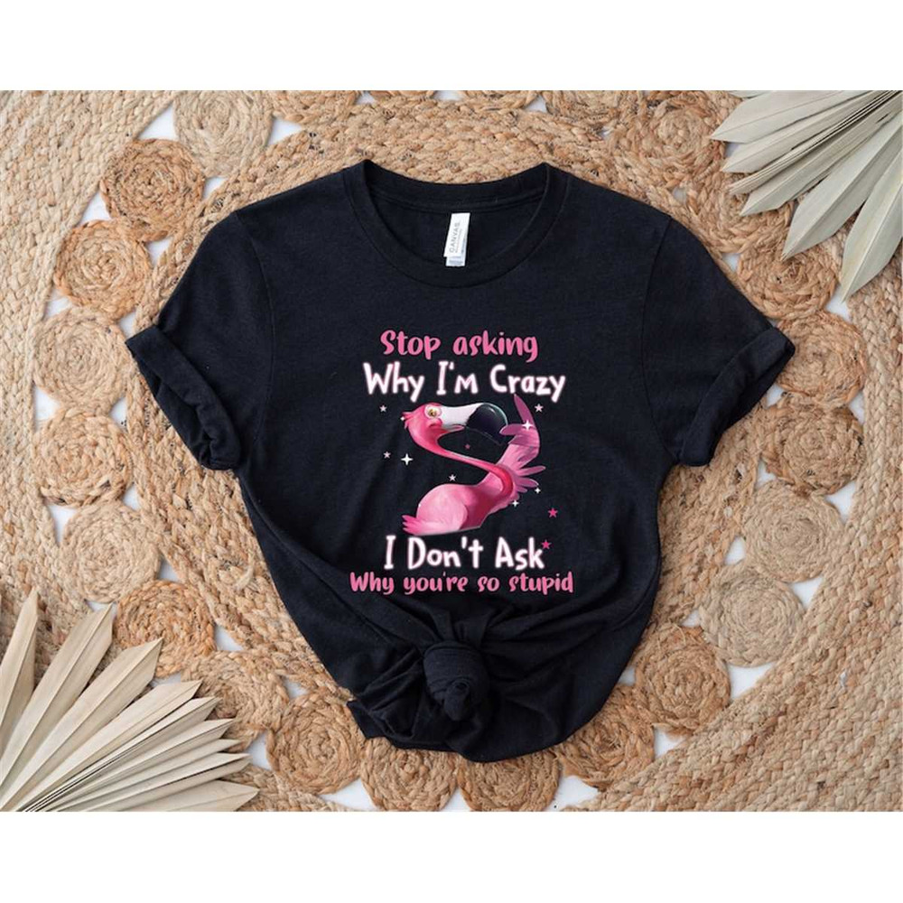 MR-57202395435-flamingo-stop-asking-why-im-crazy-t-shirt-i-dont-image-1.jpg