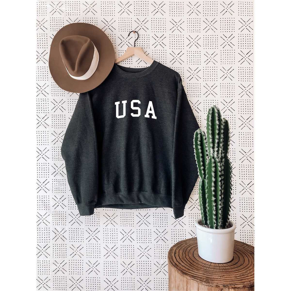 MR-572023101123-america-sweatshirt-usa-sweatshirt4th-of-july-image-1.jpg