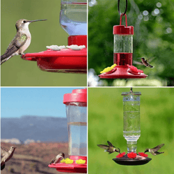10Pcs Hummingbird Feeders Replacement Flowers Outdoor Plastic Replacement Feeding Ports Bird Hanging Feeder