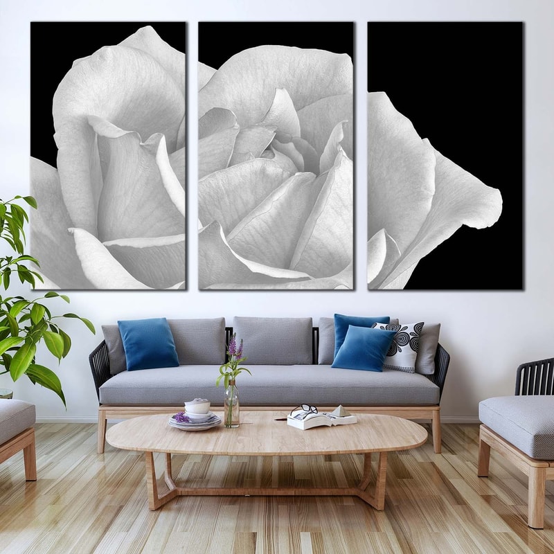 Blooming Rose Canvas Print, Black Background Monochrome Flower 3 Piece Canvas Wall Art, White Rose Digital Painting Canvas Set