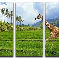 The giraffe goes on a green grass against mountains 3 Split Panel Canvas Print