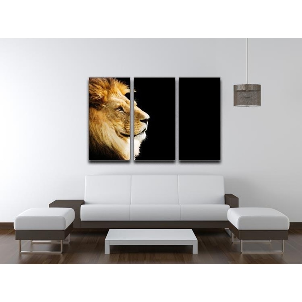 The king of all animals portrait 3 Split Panel Canvas Print