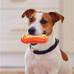 Funny Dog Toys Sausage Chew Toy For Puppy Dog Chew Toys Interactive Training Bite-resistant Grinding Teeth Dogs Pet Supp