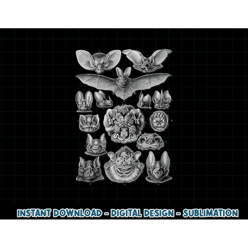 Bats Scientific Illustration Drawing Biology Art Halloween png, sublimation copy.jpg