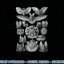 bats scientific illustration drawing biology art halloween png, sublimation copy