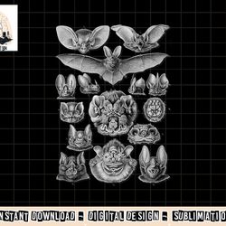 bats scientific illustration drawing biology art halloween png, sublimation copy
