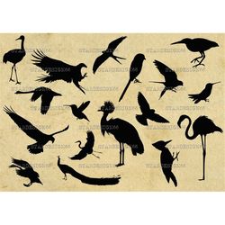 digital svg png jpg birds, swan, eagle, parrot, flamingos, turkey, vector, clipart, silhouette, instant download