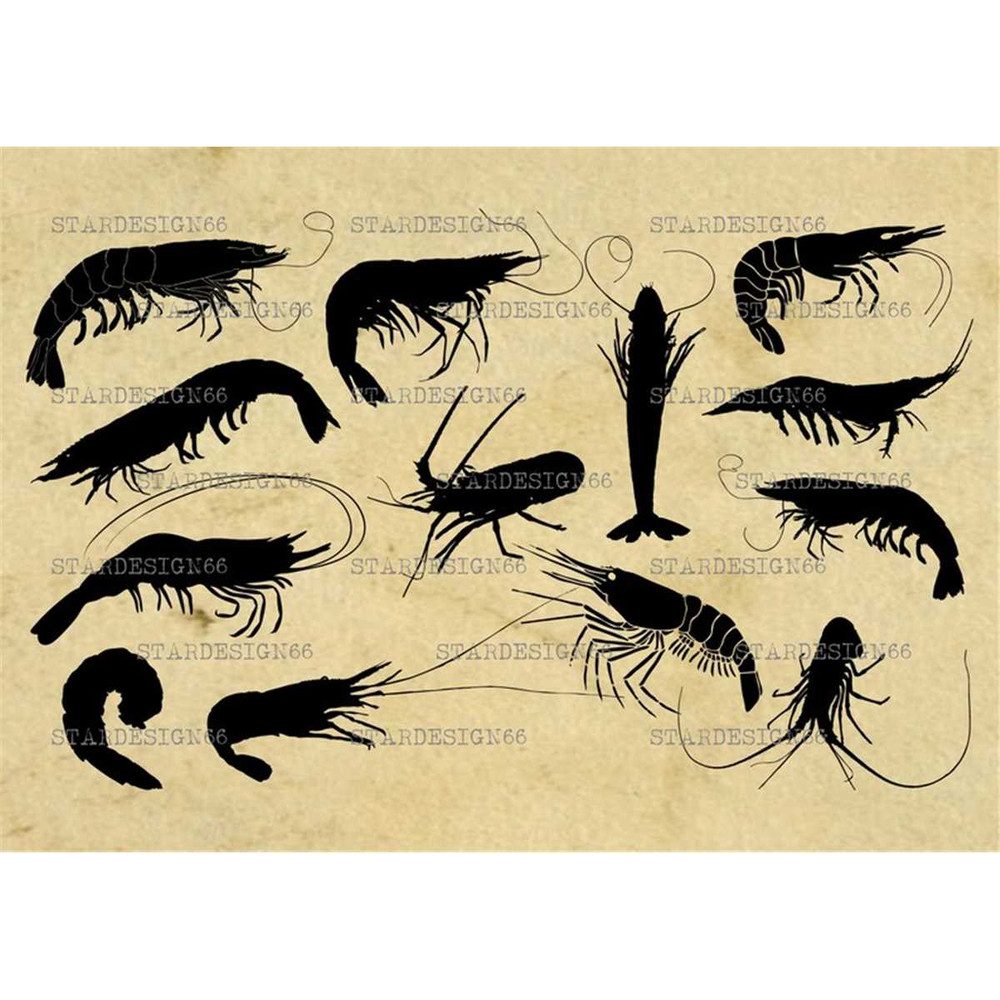 MR-672023194438-digital-svg-png-jpg-shrimps-and-prawns-silhouette-vector-image-1.jpg