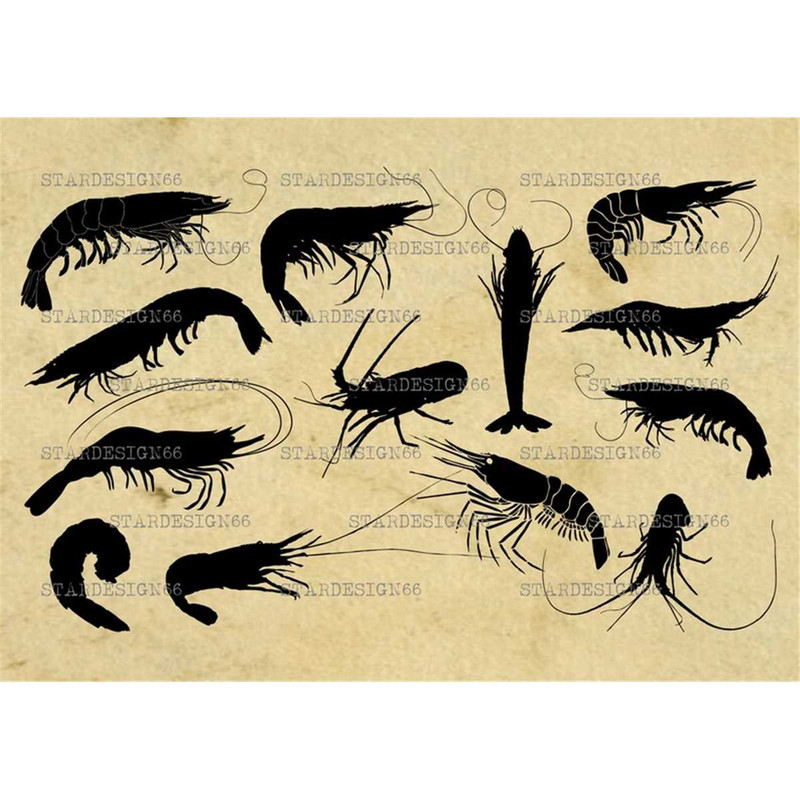 MR-672023194438-digital-svg-png-jpg-shrimps-and-prawns-silhouette-vector-image-1.jpg