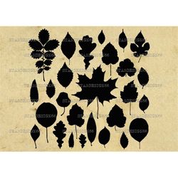 digital svg png jpg leaves, silhouette, vector, clipart, instant download