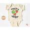 MR-6720232279-one-in-a-melon-1st-birthday-onesie-cute-funny-gender-image-1.jpg