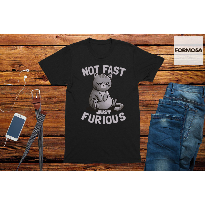 Not Fast Just Furious Cat T-Shirt, cat lover shirt, funny cat gift, cute cat t-shirt - 1.jpg