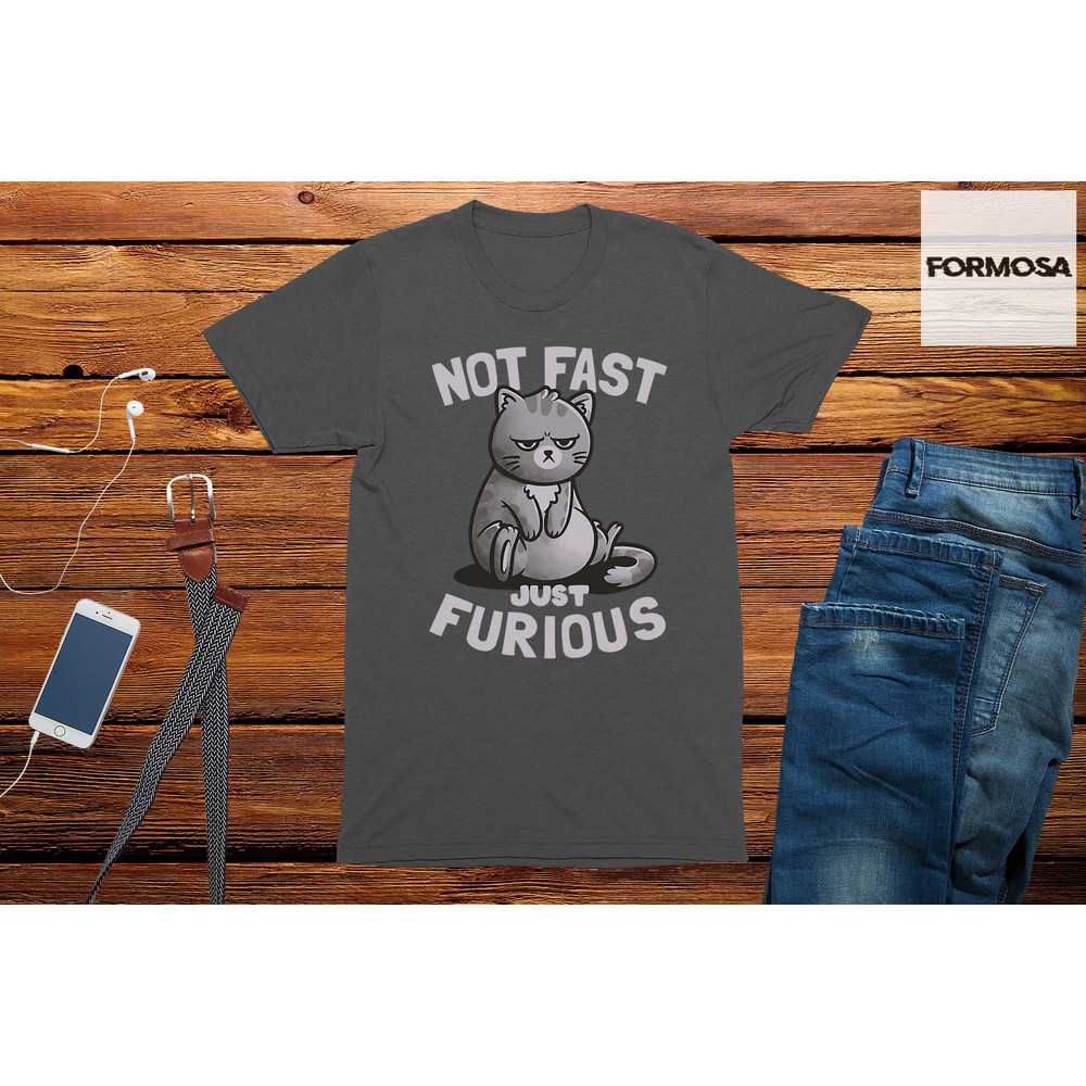 Not Fast Just Furious Cat T-Shirt, cat lover shirt, funny cat gift, cute cat t-shirt - 2.jpg