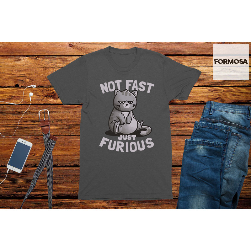 Not Fast Just Furious Cat T-Shirt, cat lover shirt, funny cat gift, cute cat t-shirt - 2.jpg