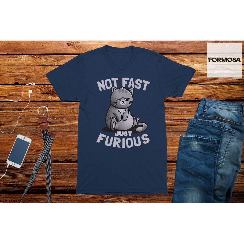 Not Fast Just Furious Cat T-Shirt, cat lover shirt, funny cat gift, cute cat t-shirt - 3.jpg