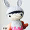 Finger-Bunny-Doll-Free-Crochet-Amigurumi-Pattern-1.jpg