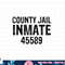 Halloween County Jail Inmate Prisoner Costume Party png, sublimation copy.jpg