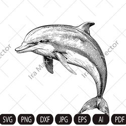 Dolphin Svg, dolphin Clipart, dolphin Png, dolphin detailed, dolphin vector , dolphin  Silhouette, Animals Silhouette,