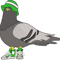 стильный голубь.png