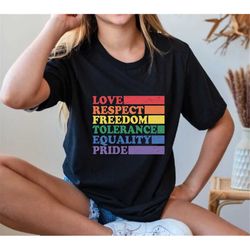pride equality shirt, pride love shirt, subtle pride, gay rights shirt, lgbtq shirt, human rights shirt, rainbow shirt,